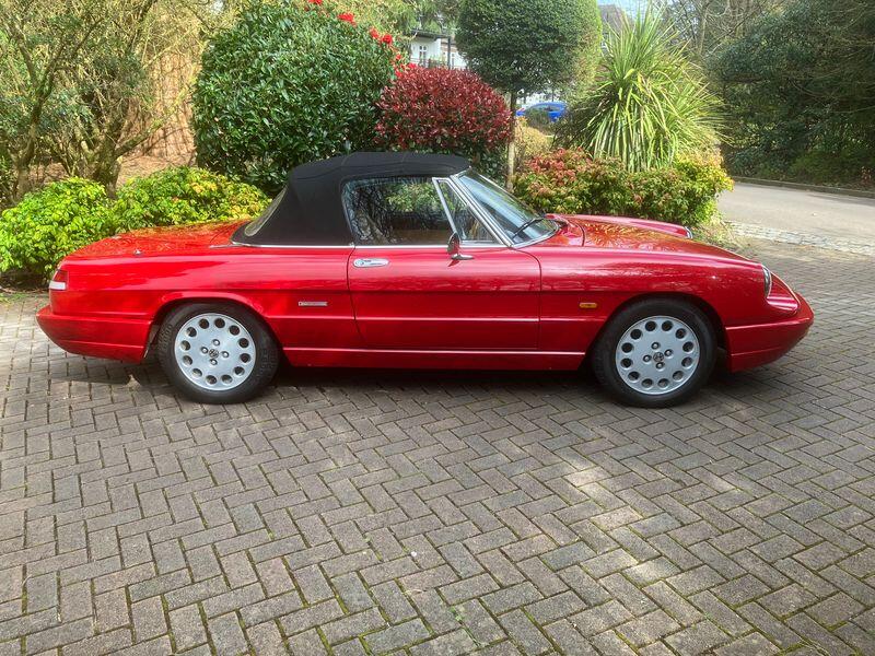 ALFA ROMEO SPIDER