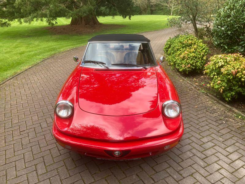 ALFA ROMEO SPIDER