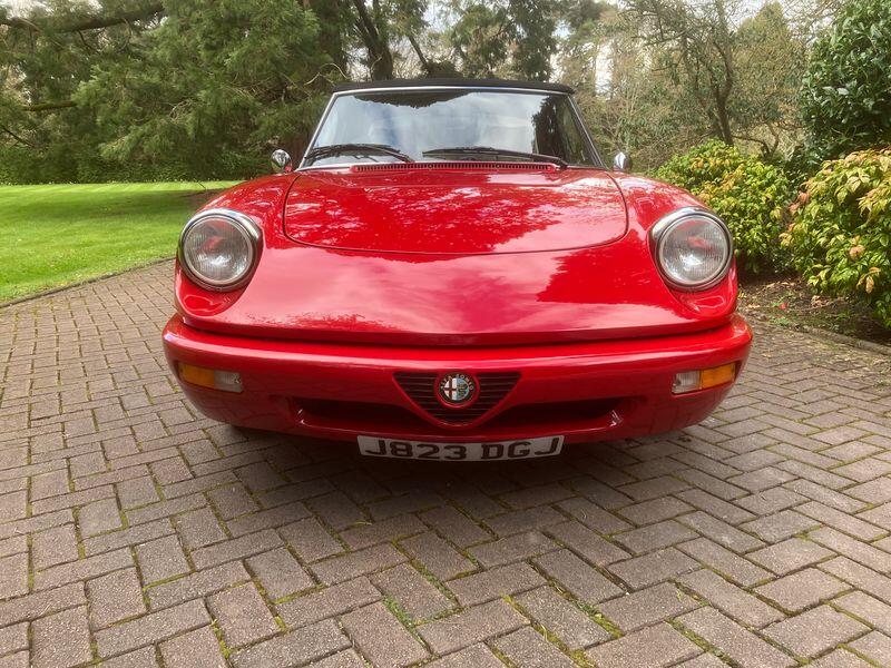 ALFA ROMEO SPIDER