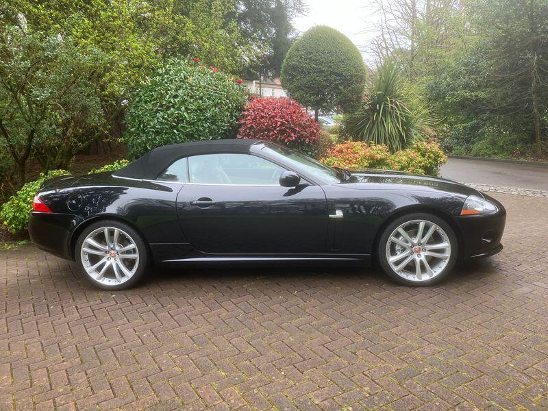 JAGUAR XK