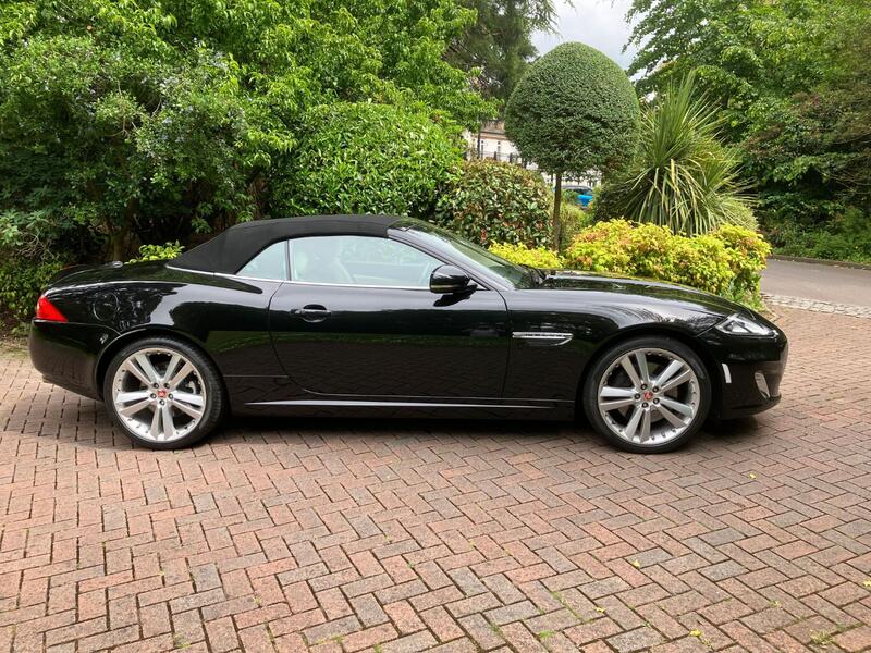 JAGUAR XK
