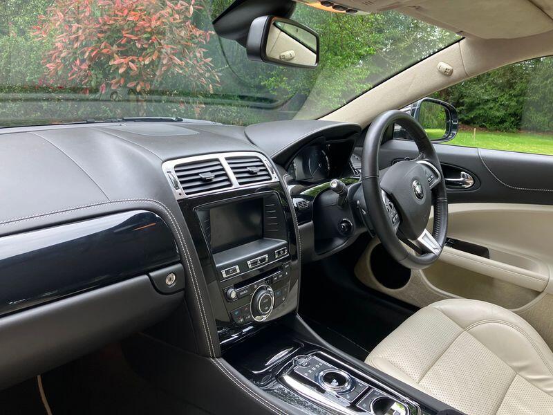 JAGUAR XK