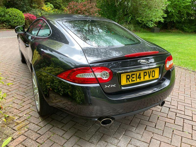 JAGUAR XK