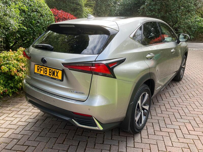 LEXUS NX