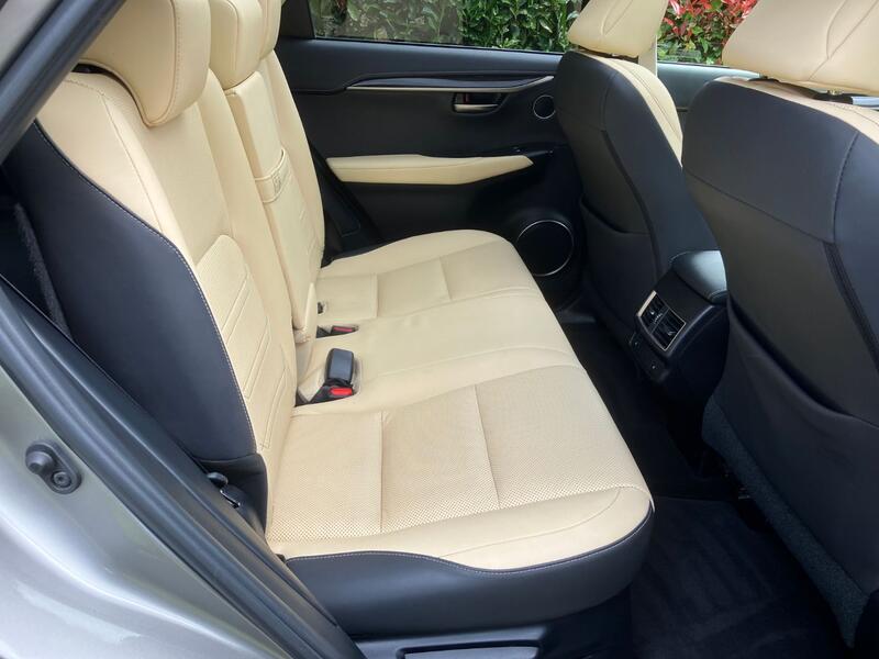 LEXUS NX