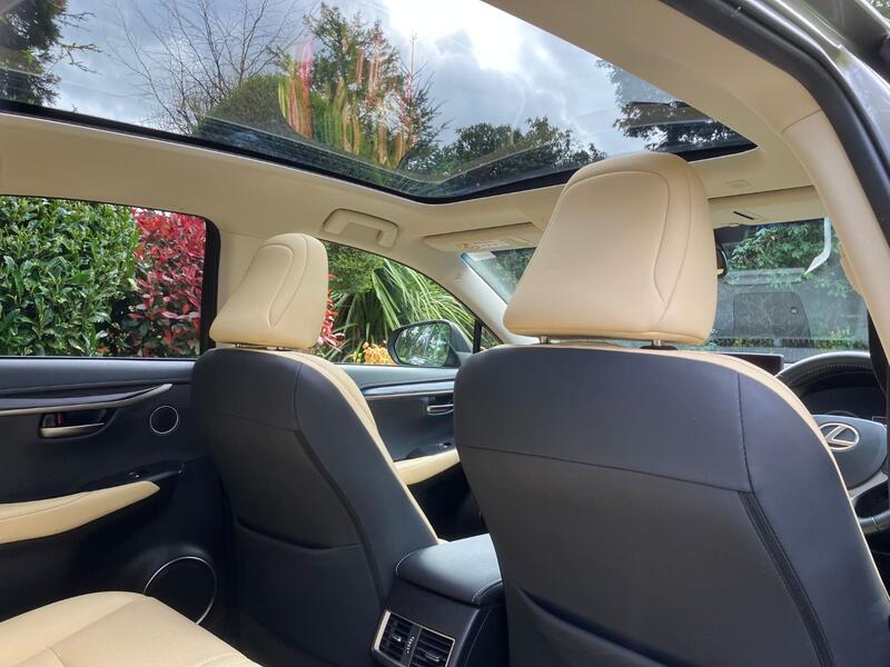 LEXUS NX