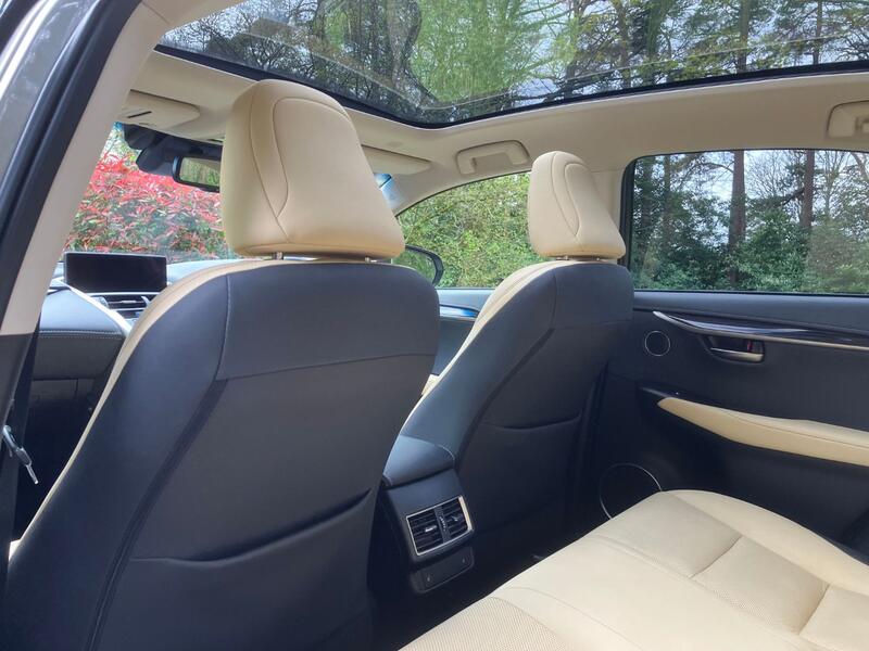 LEXUS NX