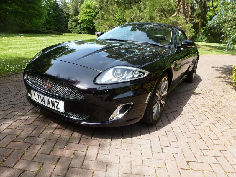 JAGUAR XK