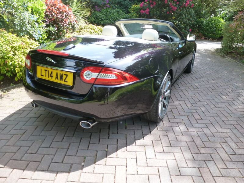 JAGUAR XK